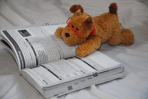 RiskIntelKK's profile picture. 