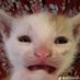 Bunsen Burger (@rubidouxart) Twitter profile photo