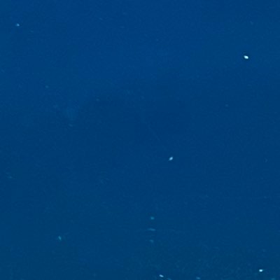 gionburig's profile picture. 🧛‍♂️