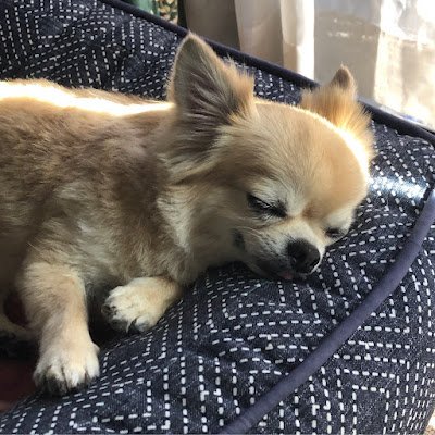 sorasora_ju's profile picture. 
