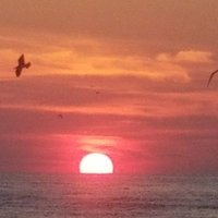 Tom Mitchell (@tommitc03410343) 's Twitter Profile