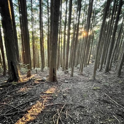 jozek625's profile picture. ゆる〜いメガビタ民/ 趣味(カフェ巡り,コーヒー飲み比べ,多国籍料理)/ iHerbコード(JOZ8695)/