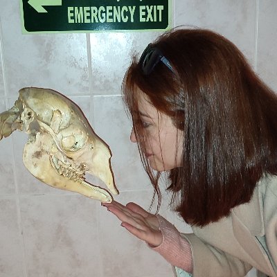 DrElifertug's profile picture. 