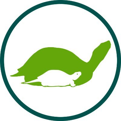 The mission of theTurtleRoom is to advance survival of the world’s turtles and tortoises through collaborative education, conservation, and research programs.