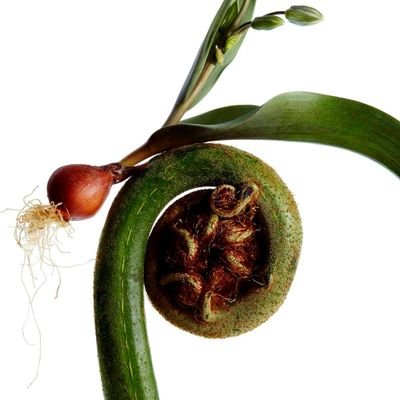 normaltype0123's profile picture. 中小企業診断士試験登録を機にXを再開しました