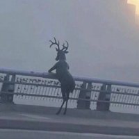 Gordie Bryce (@gordiebryce) 's Twitter Profile