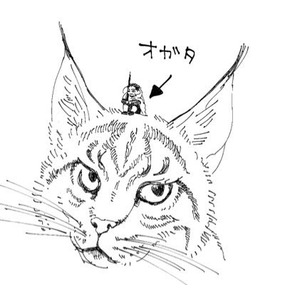 ぽんたたびさんのプロフィール画像