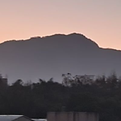 chjny5's profile picture. 