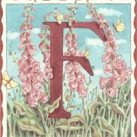 Fergus Nicoll (@fergusnicoll) 's Twitter Profile