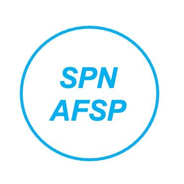 Groupe de travail AFSP : Science Politique du Numérique