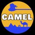 🟠CAMELの趣味垢🟠 (@DON41110) Twitter profile photo