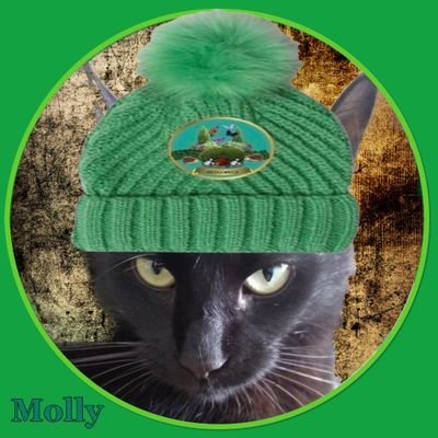 A mischievous, adorable little pickle, living on the English South Coast. Escape Artist and 'Elf 'n' Safety Inspector. Mew! x #Hedgewatch