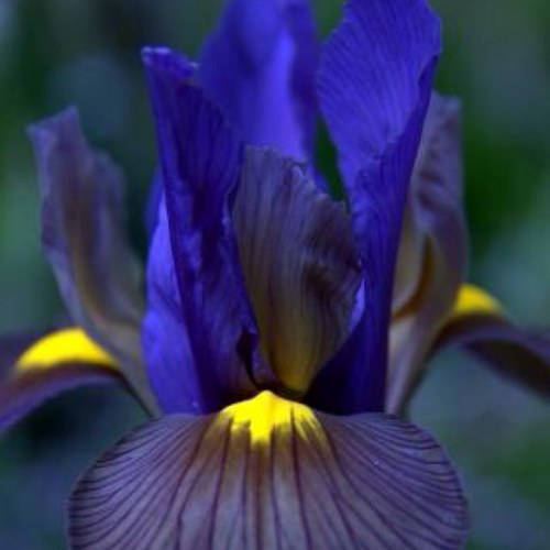 lenlenysika's profile picture. 