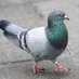 Bill Bird (@bill_bird18) Twitter profile photo Bill Bird (@bill_bird18) Twitter profile photo