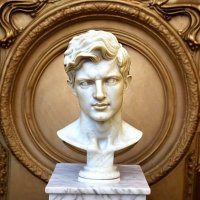 Duarte (popadex.com) (@duarteosrm) 's Twitter Profile