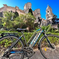 Ebike Málaga(@Ebikemalaga) 's Twitter Profile Photo