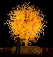 AndreeaLipovanu's profile picture. 