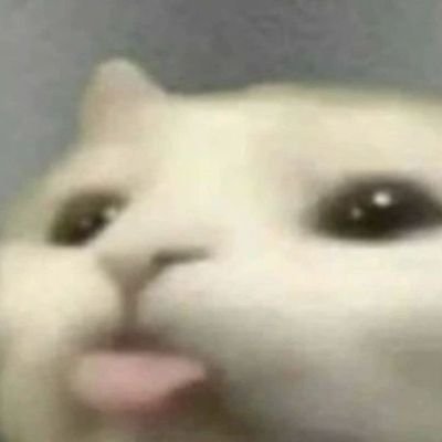 Spudsさんのプロフィール画像