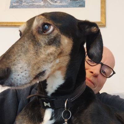 somersetlurcher Profile Picture