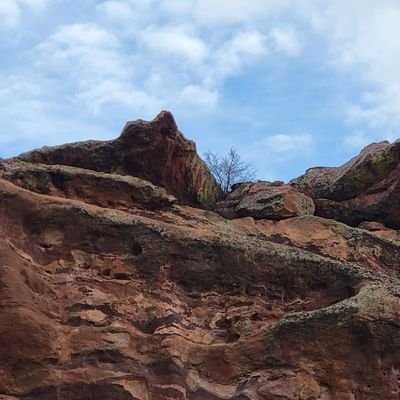 realWillPiper's profile picture. Tweeting into the void |
#67405 🥰