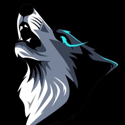 content creator on YouTube/twitch | Leader of The Wolves Den | Twitch Affiliate | https://t.co/7GV80GK80O | Partnered with Dubby Energy | #DWWA