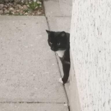 wojiu_kankan's profile picture. 