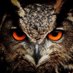 Petulante (@petulante8) Twitter profile photo Petulante (@petulante8) Twitter profile photo
