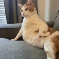 R.aw.nx (@rawnx7) 's Twitter Profile