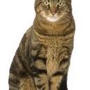 Reinaldo Ramirez Cor - @ReinaldoCor - Twitter