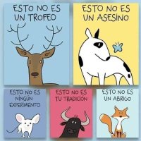 Aunque nada cambie, si yo cambio todo,cambia (@carlb2025) 's Twitter Profile
