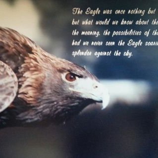 livingd53105597's profile picture. 