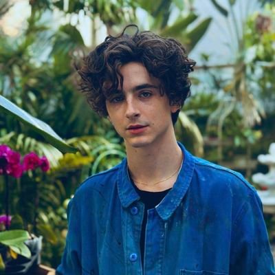 tchalamet_posts Profile Picture