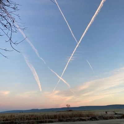 HopsingG's profile picture. Just a Grandma trying to educate young patriots!