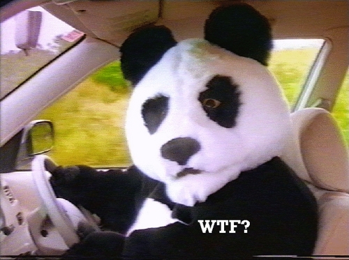 wiFIVE_'s profile picture. A perfectionist and clearly flawed. Interests - Olympique Lyonnais, NFL (Falcons), UFC & MotoGP.