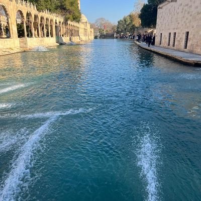 afatsum19071907's profile picture.