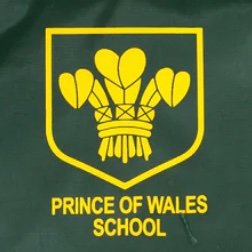 Prince of Wales Primary Profile