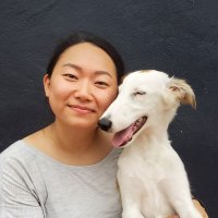 Lynne Yun(@LynneYun) 's Twitter Profileg