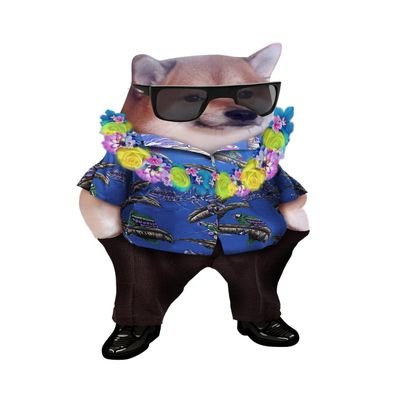 Luk4s_H1ld3's profile picture. NAFO fella