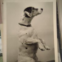 Sally C Ells💚☘️ (@sallypmce) 's Twitter Profile Photo Sally C Ells💚☘️ (@sallypmce) 's Twitter Profile Photo