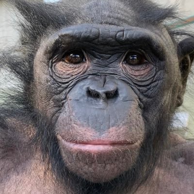 ExtraButter4's profile picture. 