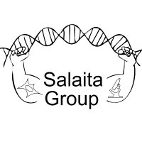 salaitalab(@salaitalab) 's Twitter Profile Photo