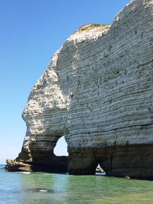 SilviaH79532510's profile picture. 