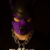 Lush_Pup_Chase (@lushpupchase) 's Twitter Profile