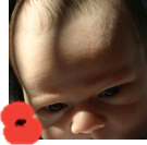 Synth_FG's profile picture. Father and general Cynic