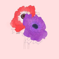 ももせ (@smmm100se) Twitter profile photo