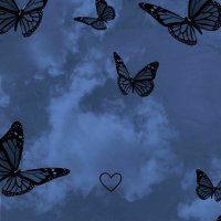 PSFragileFlower 🦋 (@psfragileflower) Twitter profile photo
