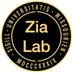 The Zia Lab (@thezialab) Twitter profile photo The Zia Lab (@thezialab) Twitter profile photo