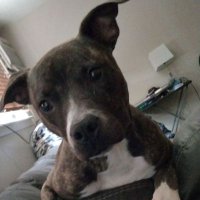 UsesTransit (@usestransit) 's Twitter Profile Photo UsesTransit (@usestransit) 's Twitter Profile Photo