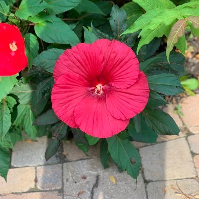 mustrcklax_3's profile picture. 