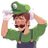 Luigi The Plumberさんのプロフィール画像